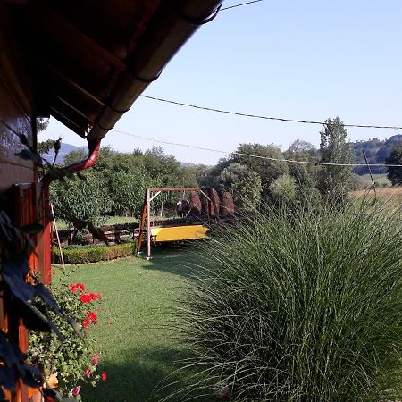 Guesthouse Kuzmanovic Guča Екстериор снимка