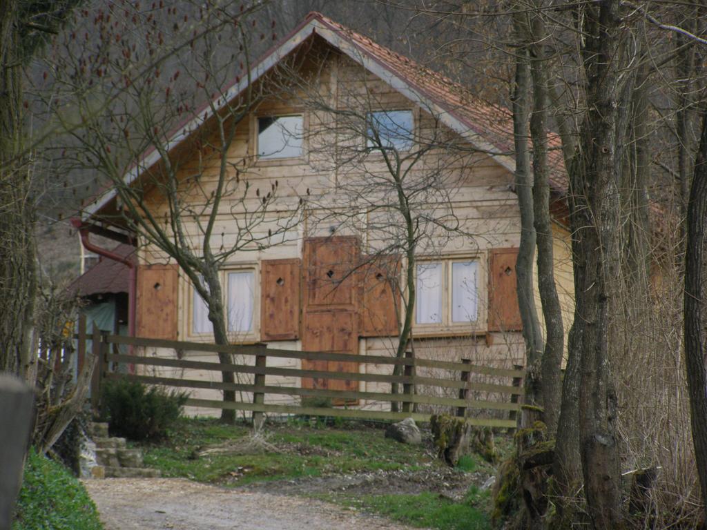 Guesthouse Kuzmanovic Guča Екстериор снимка
