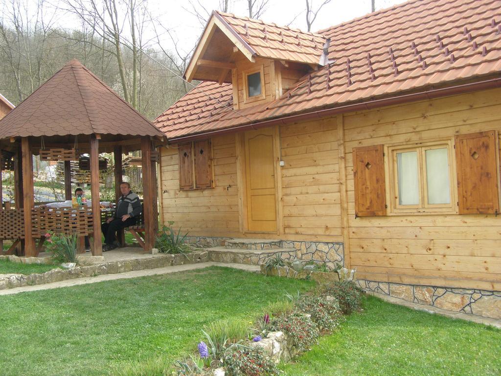 Guesthouse Kuzmanovic Guča Екстериор снимка