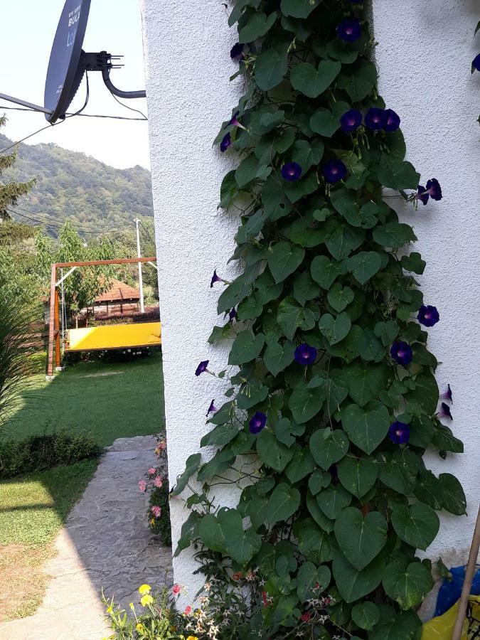 Guesthouse Kuzmanovic Guča Екстериор снимка