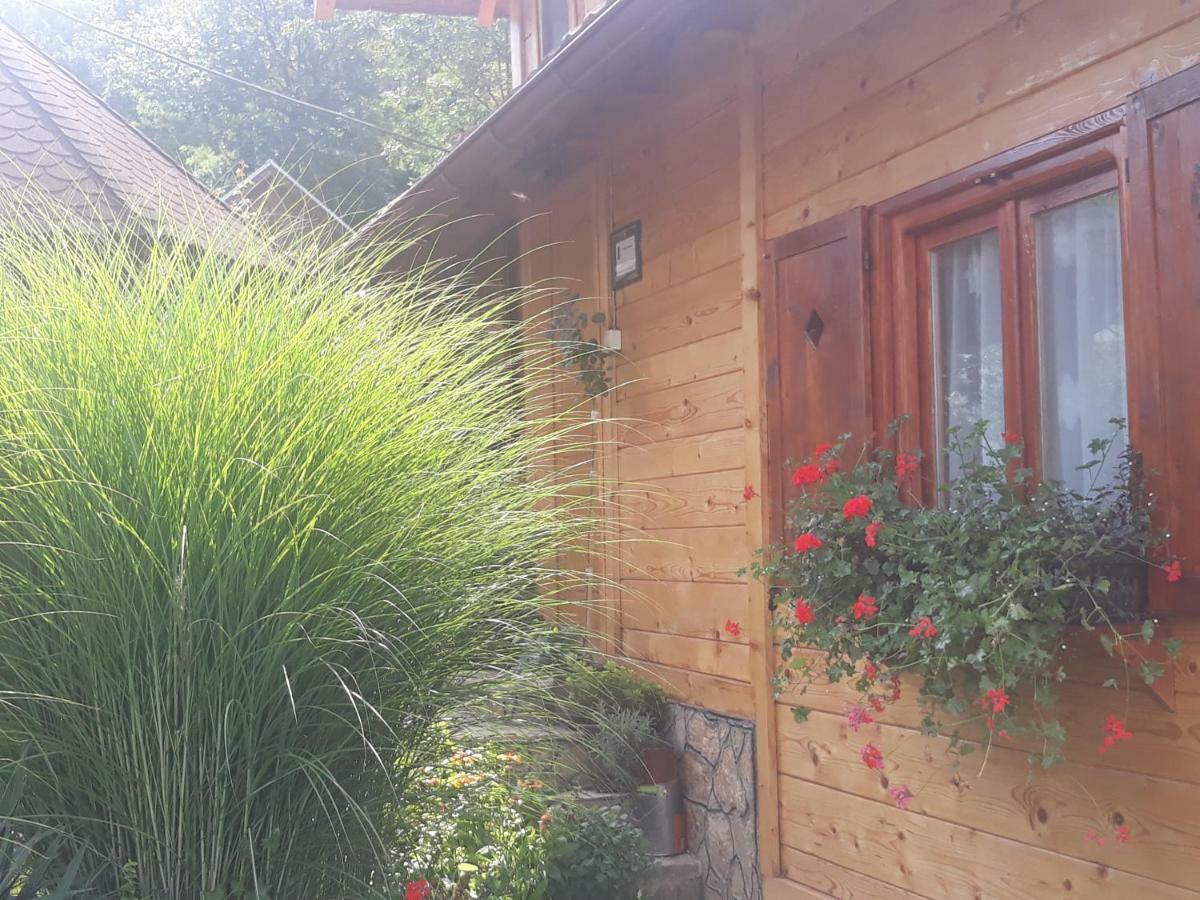 Guesthouse Kuzmanovic Guča Екстериор снимка