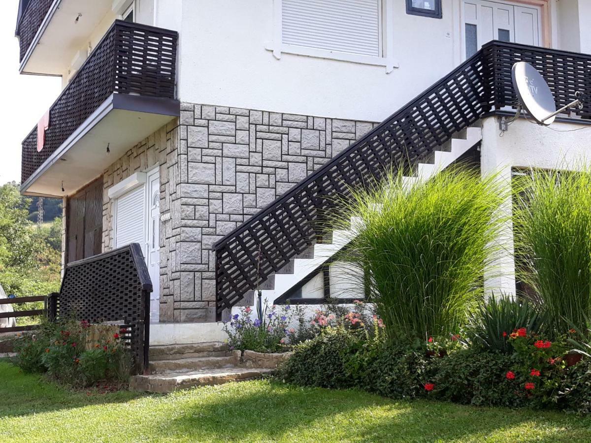 Guesthouse Kuzmanovic Guča Екстериор снимка